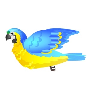 Gold and Blue Macaw